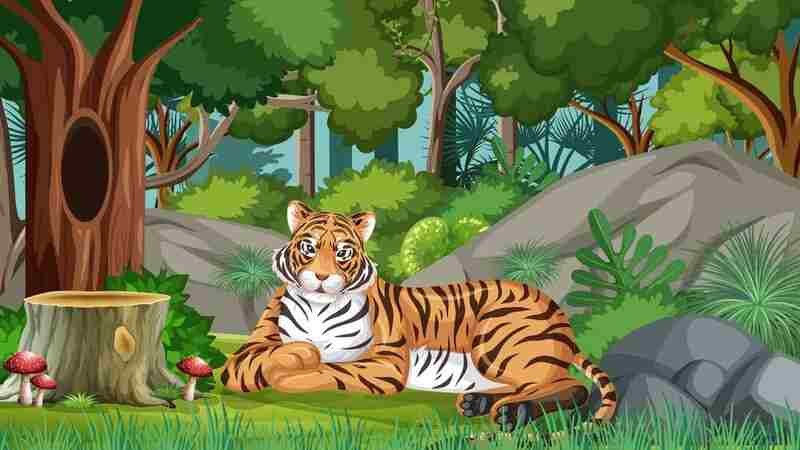 clipart:jmjk9np8ik4= tiger